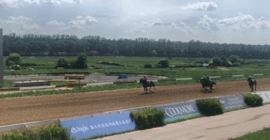 勇强旋风.gif 勇强旋风.gif