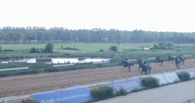 真爱绿洲.gif 真爱绿洲.gif